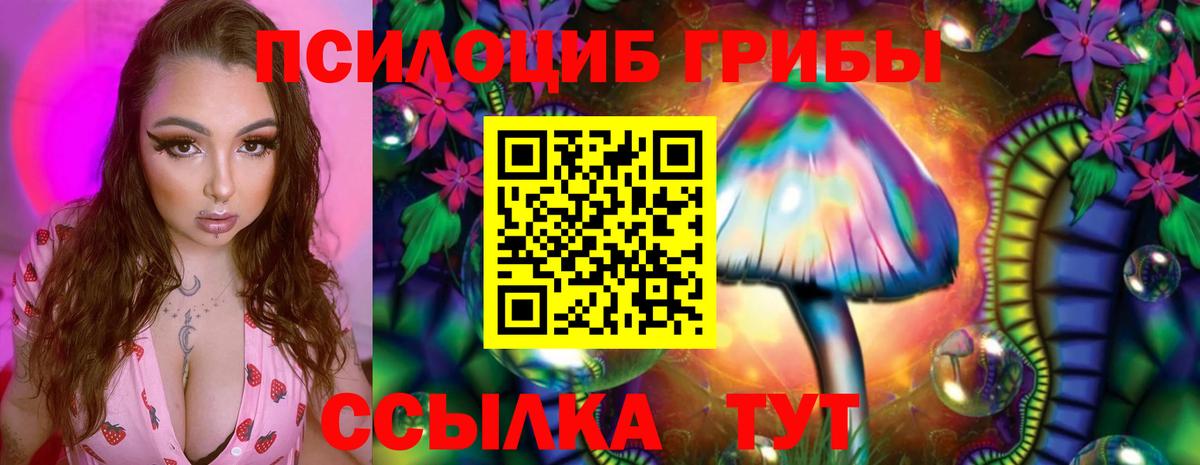 даркнет сайт  Галлюциногенные грибы ЛСД  Вход с VPN  Лесозаводск 