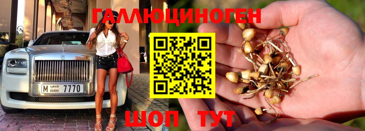 Галлюциногенные грибы прущие грибы Лесозаводск